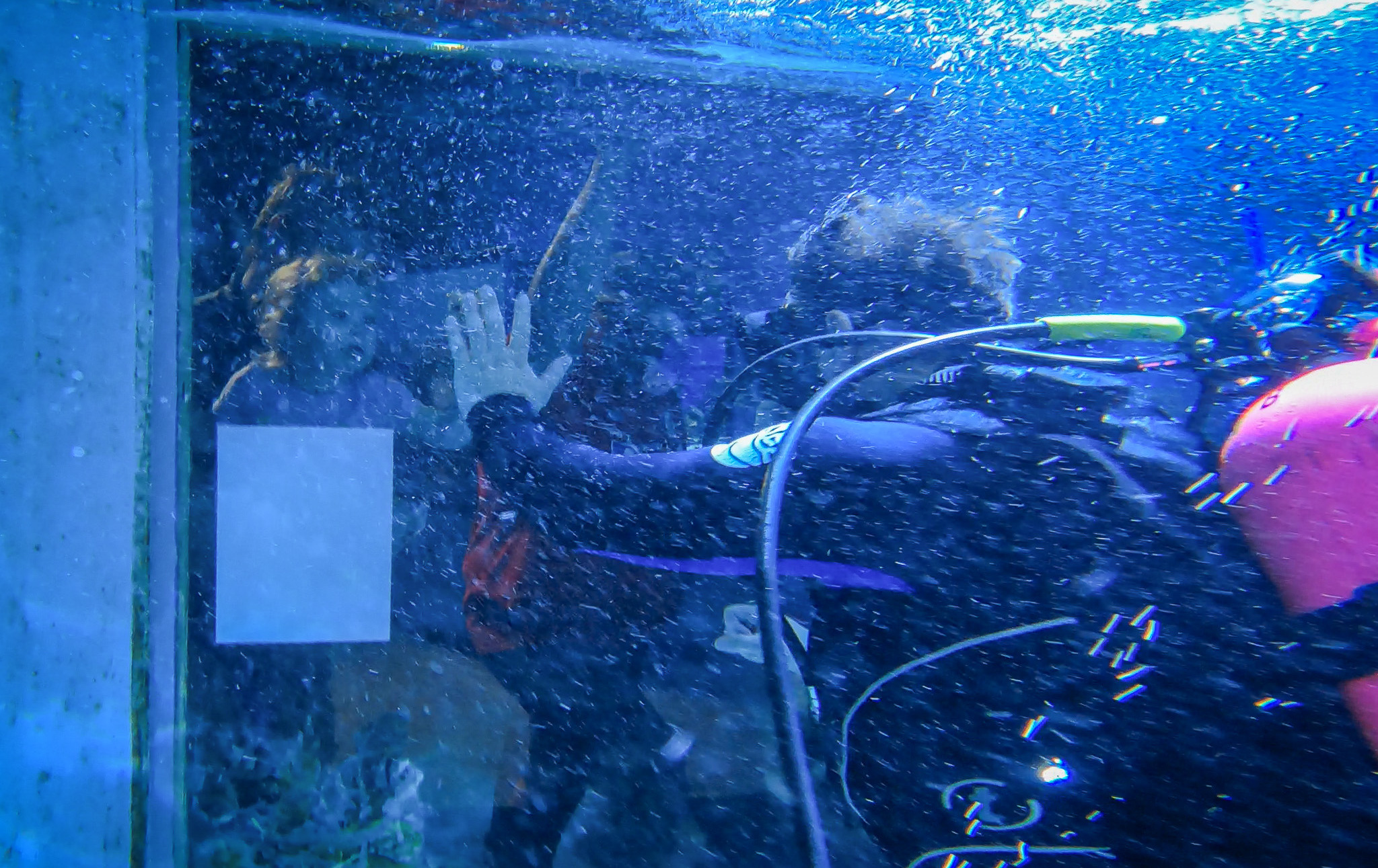Aquarium of Niagara