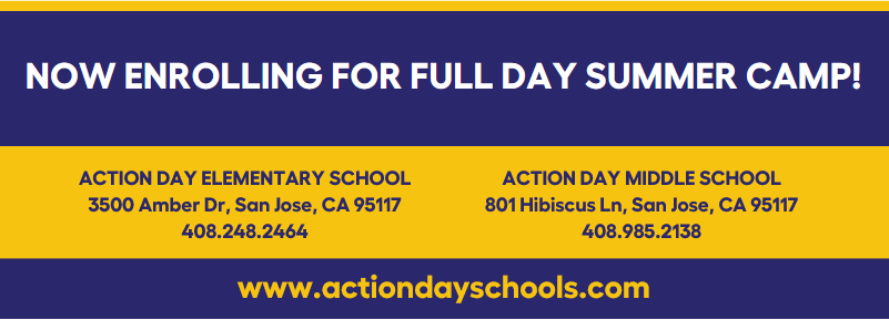 Action Day Summer Camps