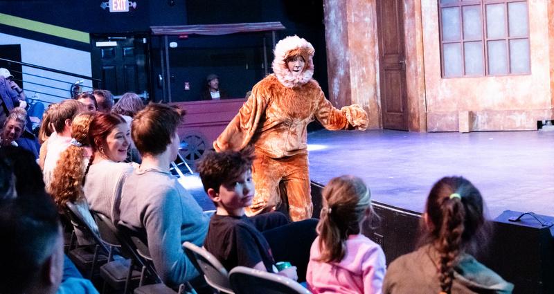 Lion walks through audience