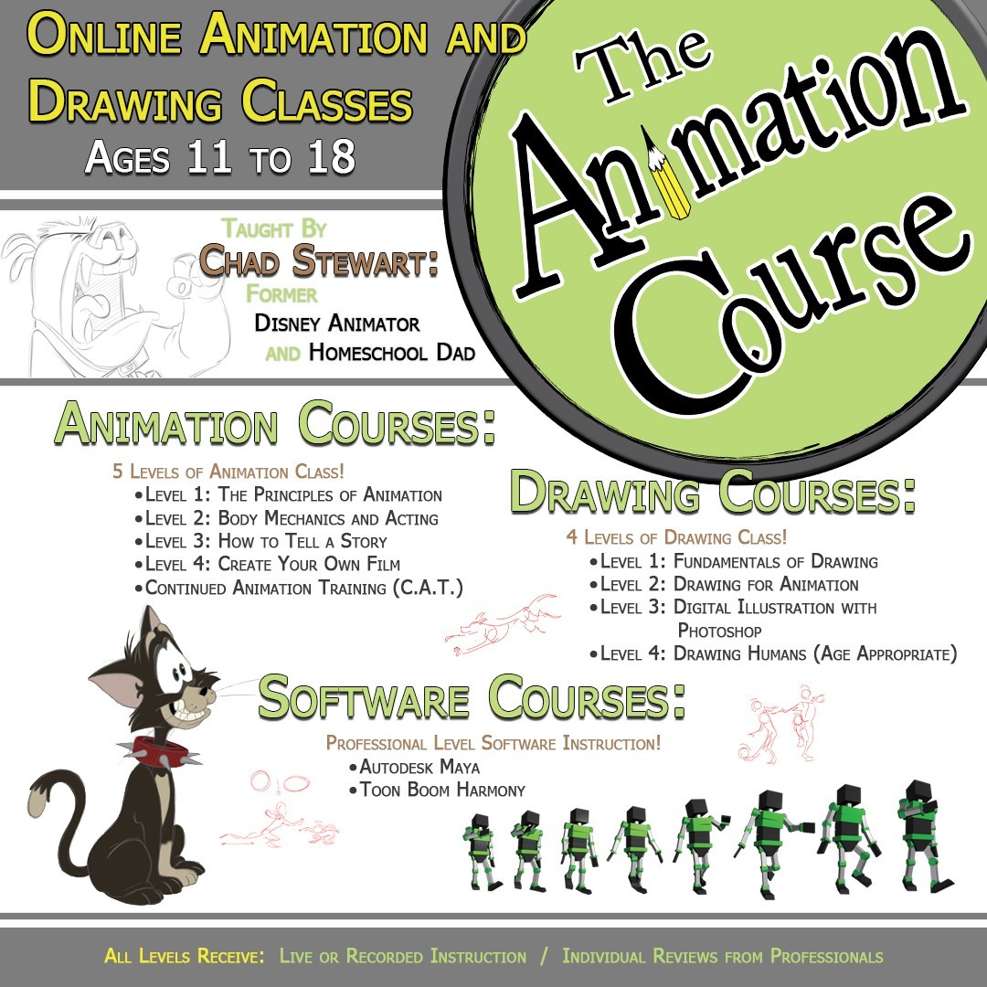 The Animation Course