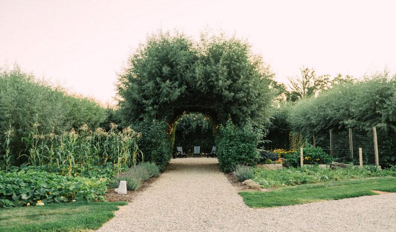 Zingerman’s Cornman Farms