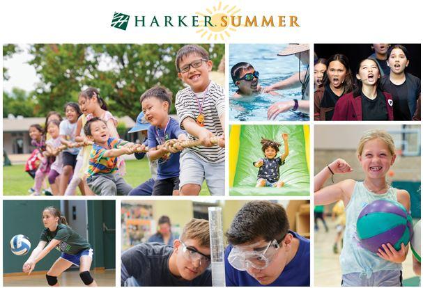 Harker Summer