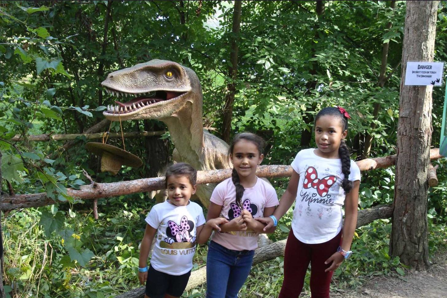 Stokoe Farms Dino ROAR