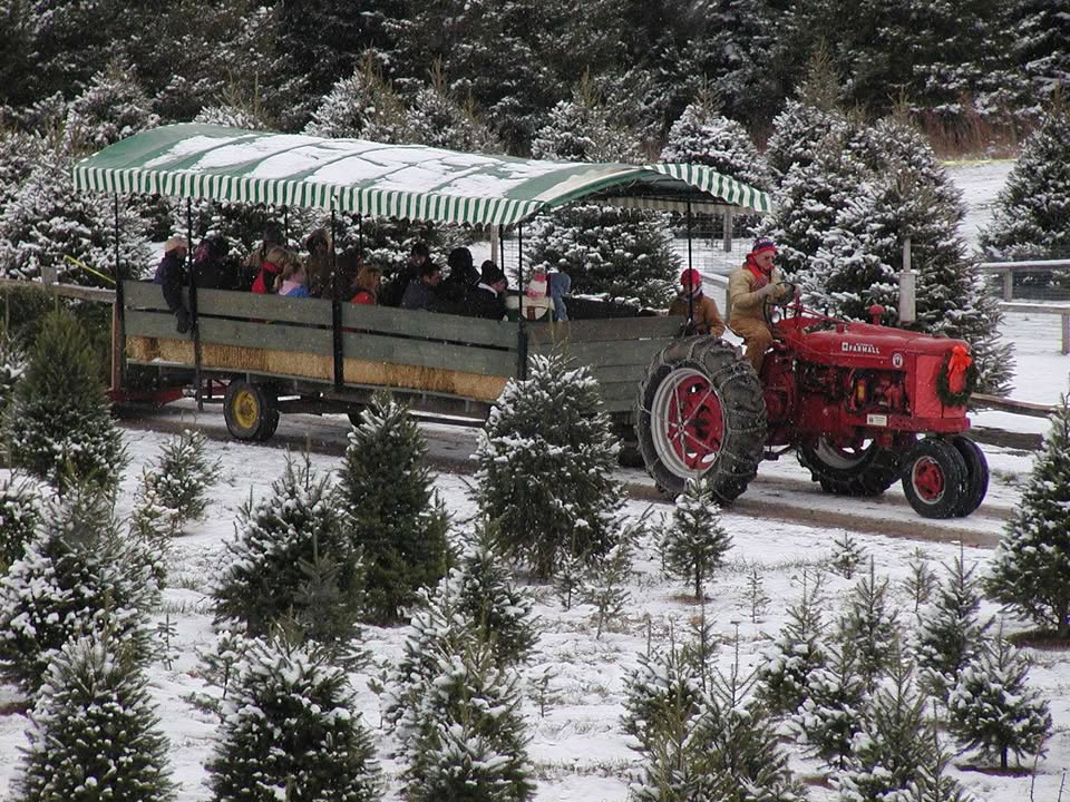 Stokoe Farms tractor