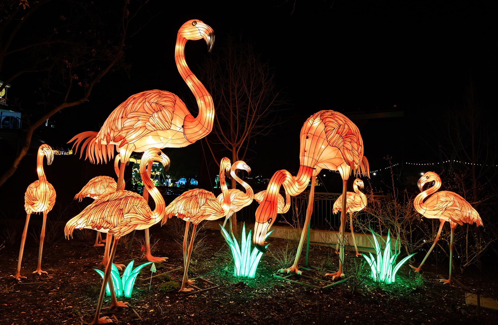 St. Louis Zoo