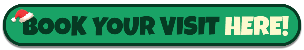 Book Your Santa Visit Here