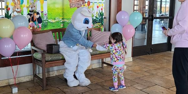 Pinstripes Bunny Brunch