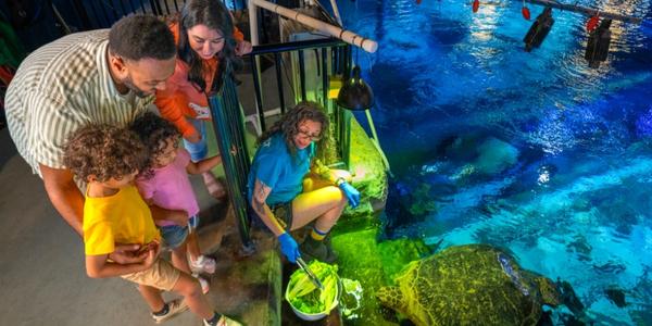 SEA LIFE