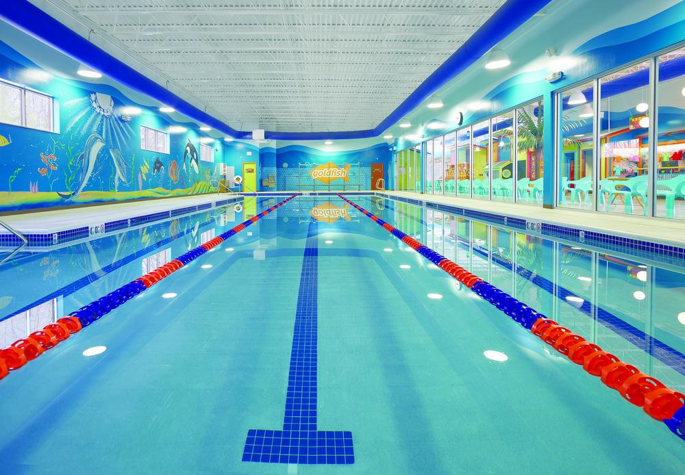 Goldfish Swim School