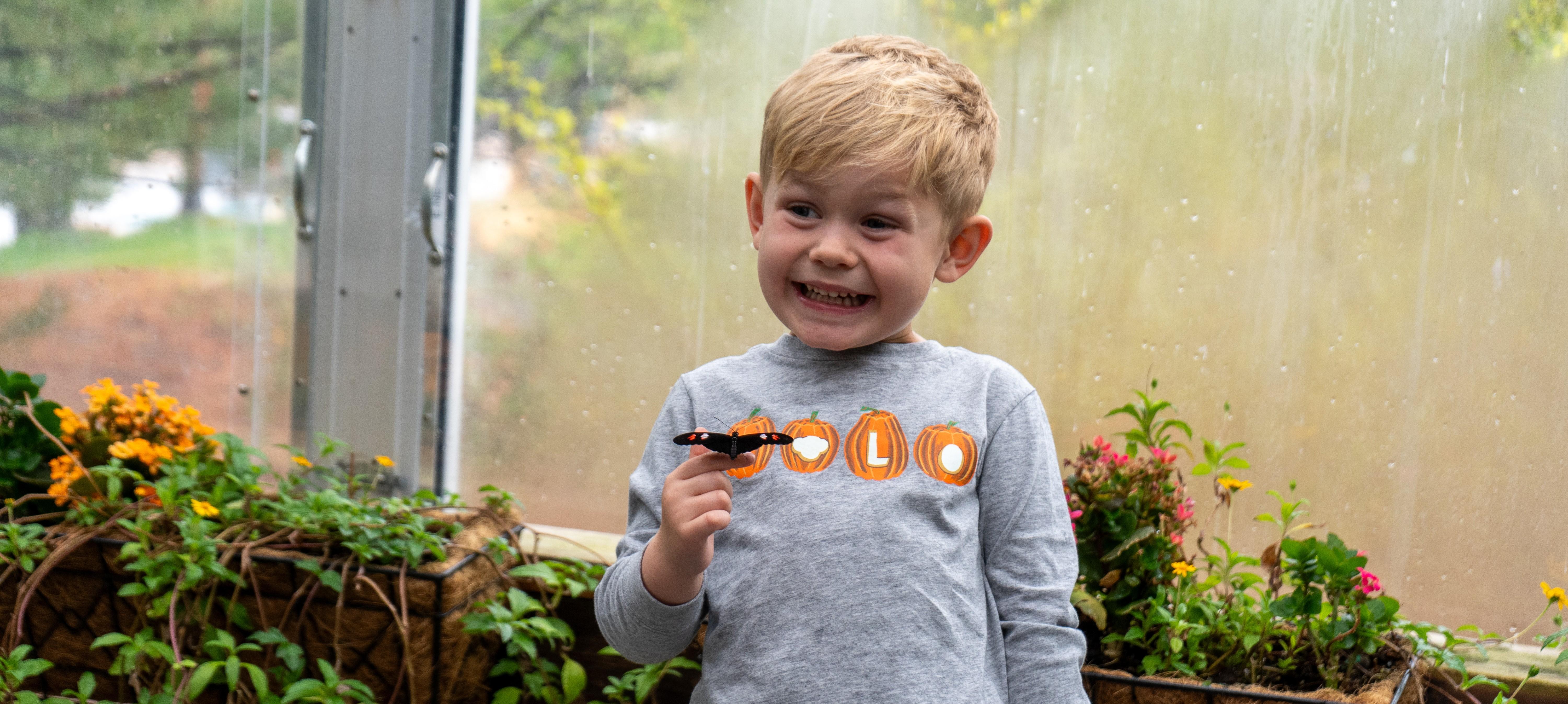 Butterfly Pavilion’s Rosie’s Discovery Summer Camps