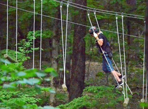 NYzipline