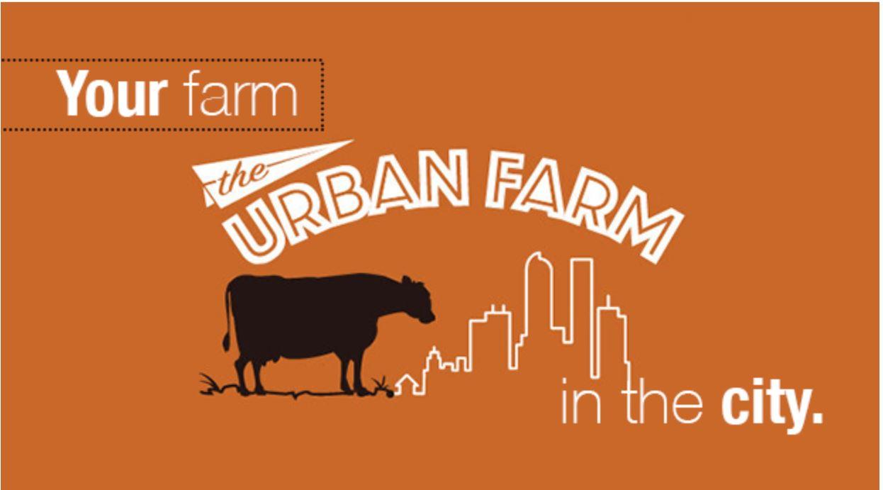 The Urban Farm