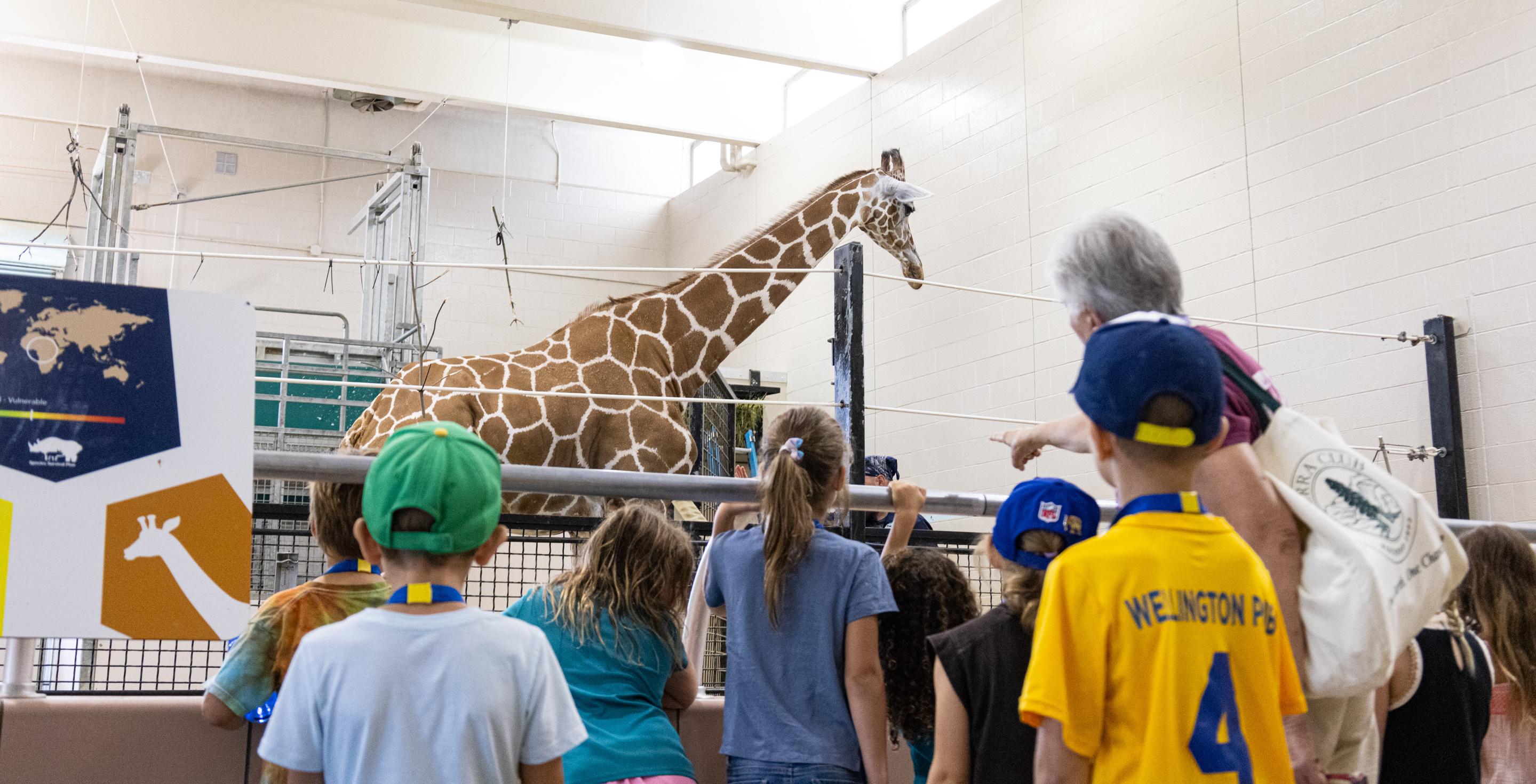 Buffalo Zoo