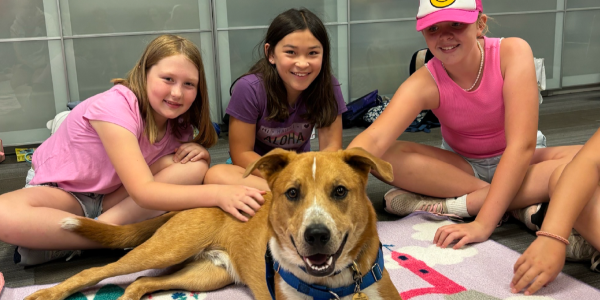 Animal Humane Society