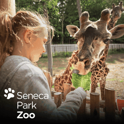 Seneca Park Zoo tickets
