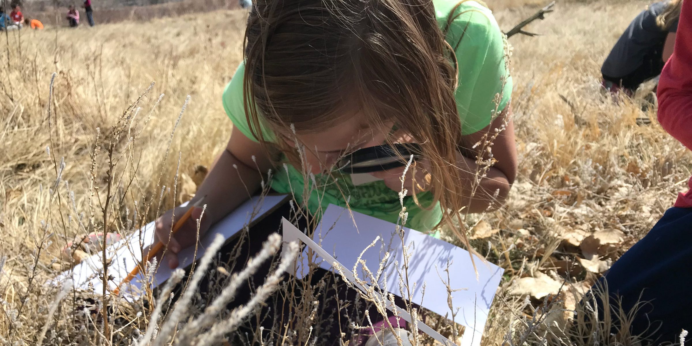 Butterfly Pavilion’s Rosie’s Discovery Summer Camps