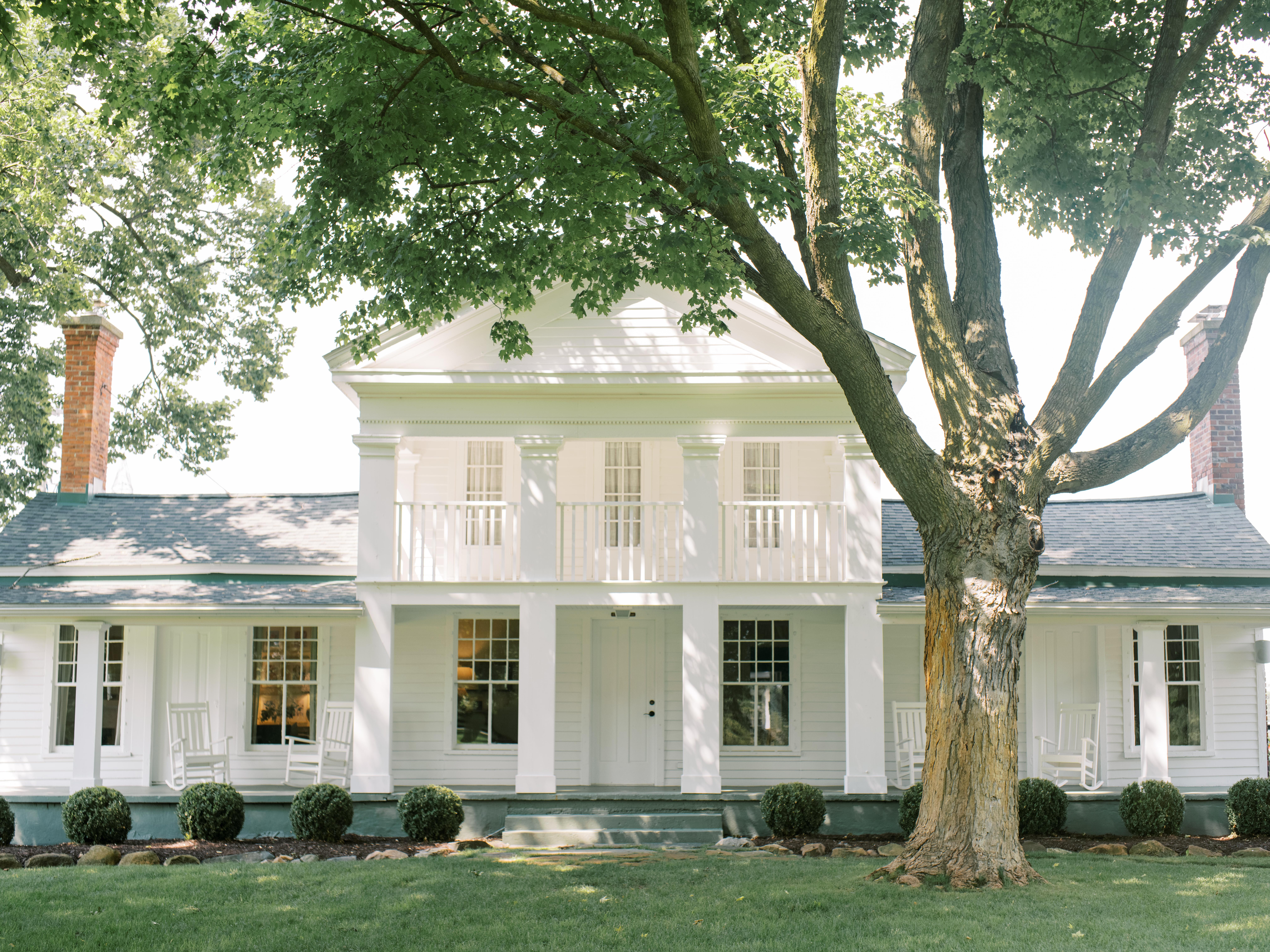 Zingerman’s Cornman Farms