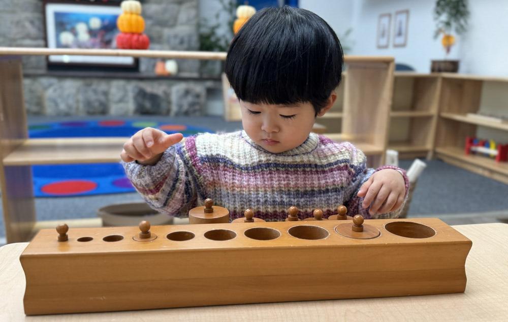 Hudson Country Montessori School