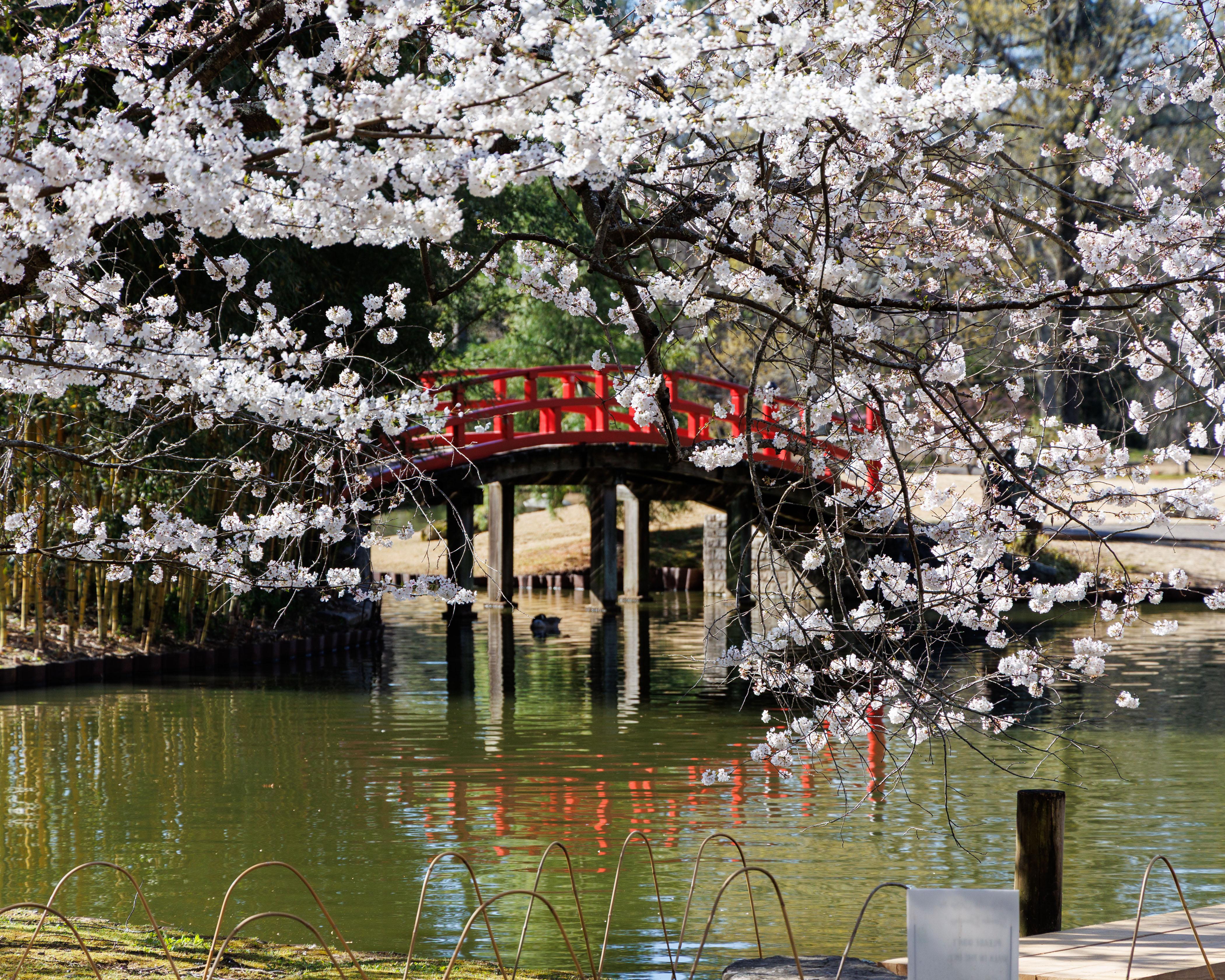 Memphis Botanic Garden