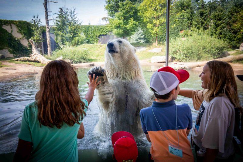Buffalo Zoo