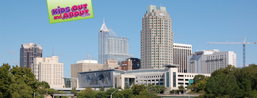 Research Triangle Skyline