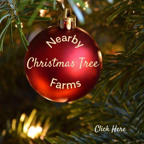 Christmas Tree Farms