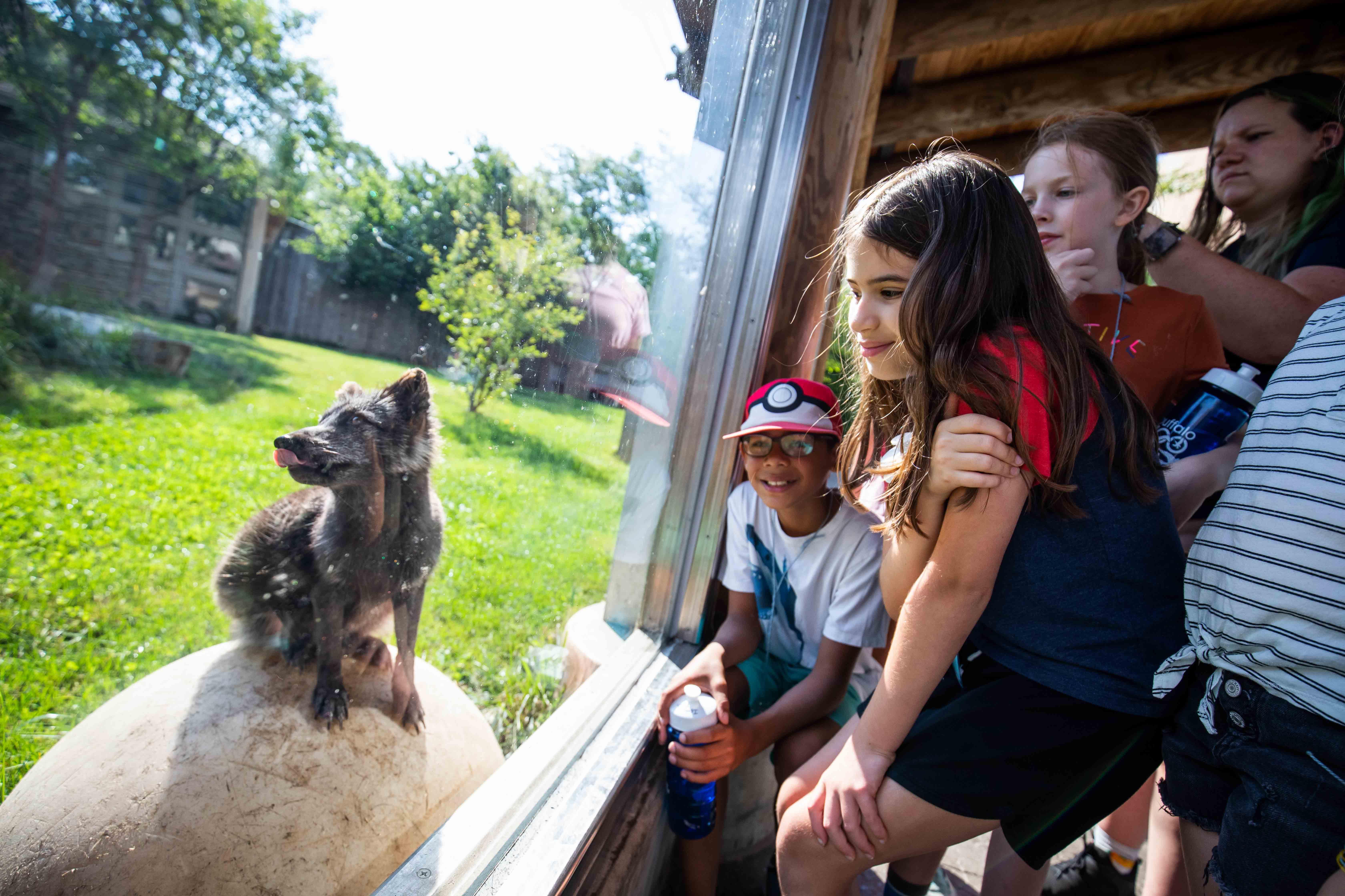 Buffalo Zoo