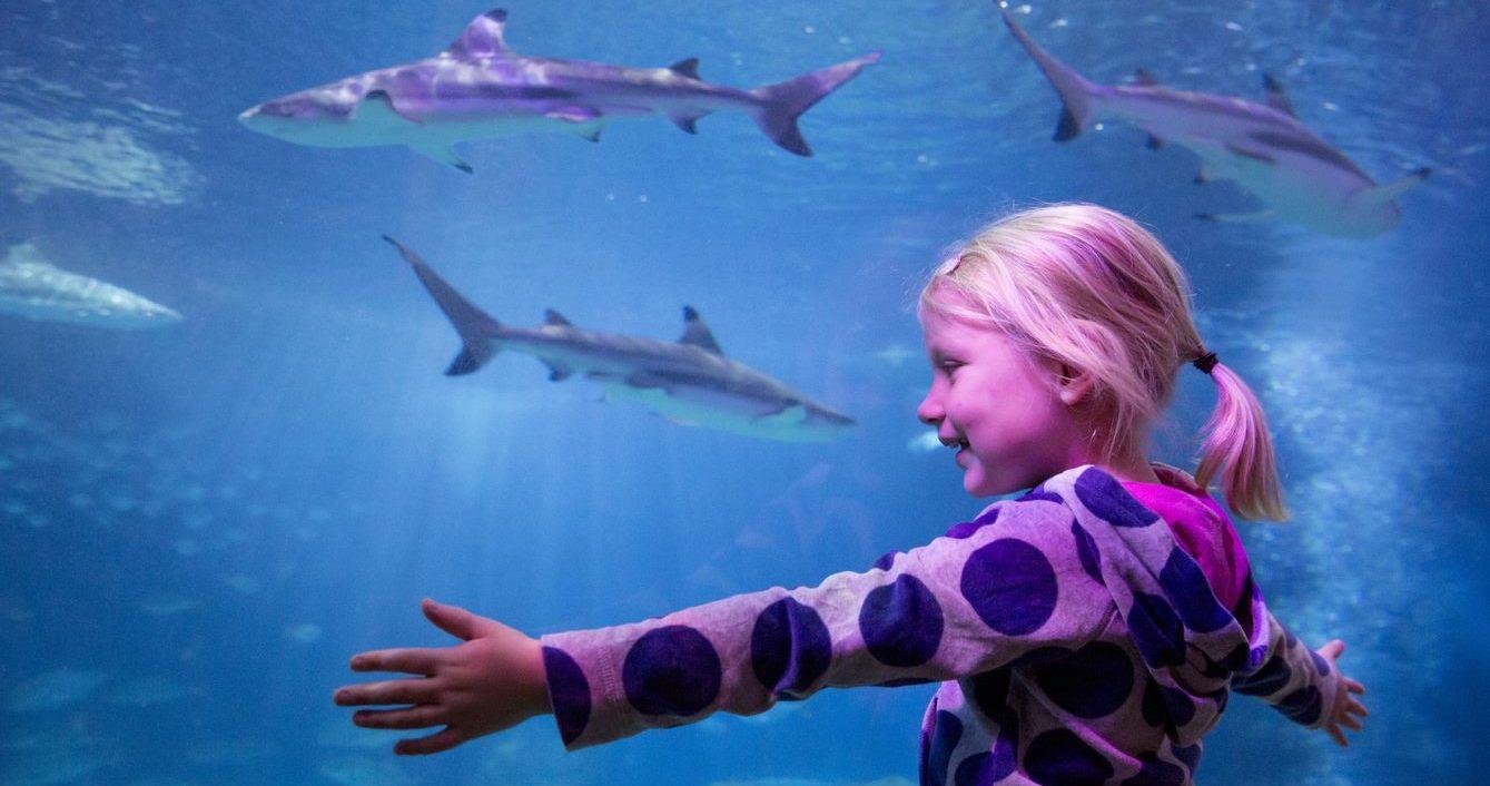 SEA LIFE