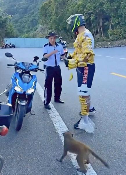 Monkey business: tourist sternly warned.