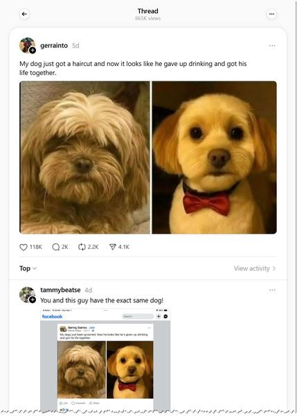 The post, with the telling comment.