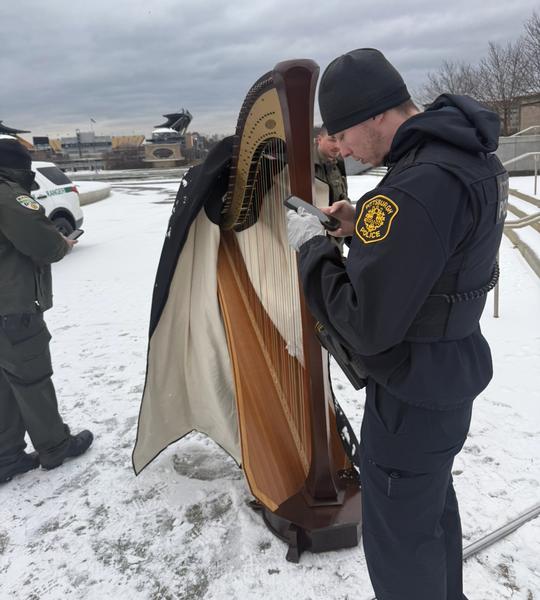 Not a good place for a harp.