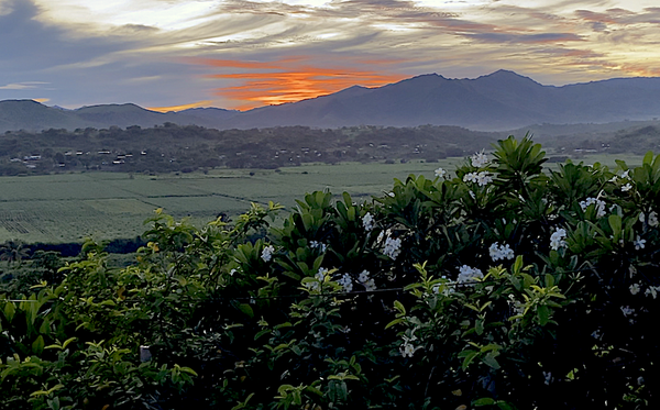 Beautiful Fiji Morning