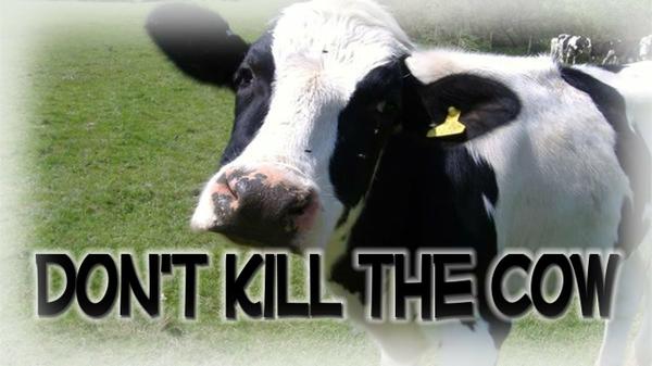 We Must Convince Them: Don't Kill Cows!