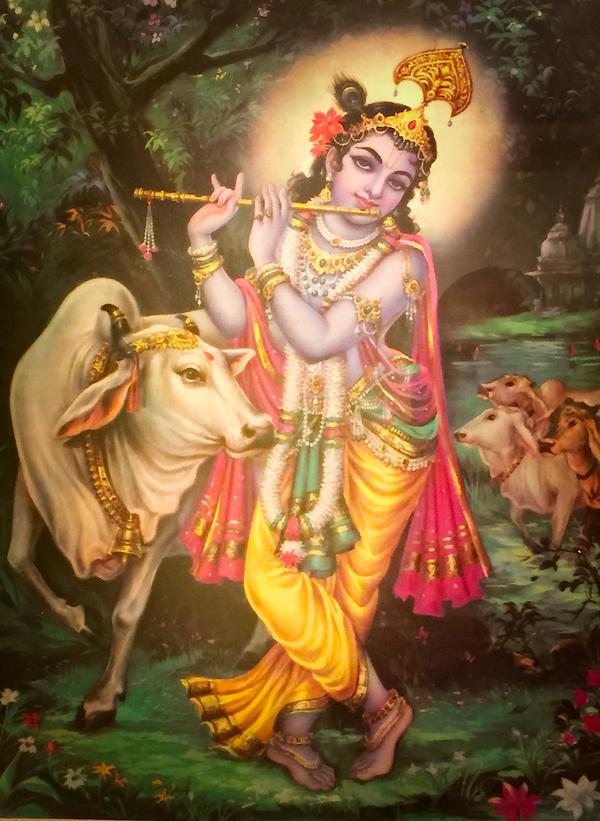 Krishna Wants You to Come Back Home