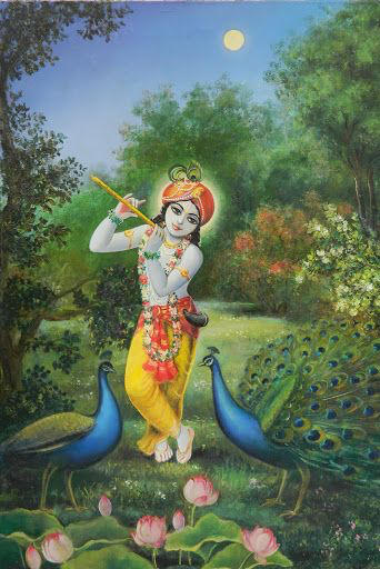 The Most Amazing Krishna