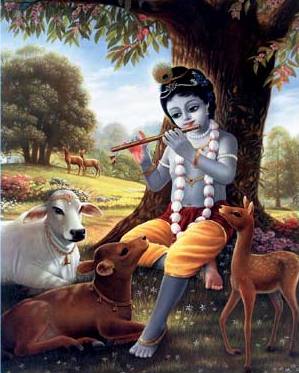 Krishna, the Most Amazing Person in All of Existence​​​​
