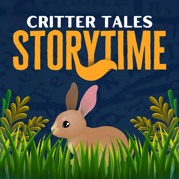 A cartoon rabbit is peeking out from some tall grass. "Critter Tales Storytime" is overlayed ontop.