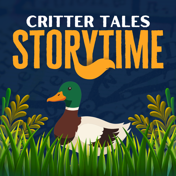 A cartoon male mallerd duck is peeking out from some tall grass. "Critter Tales Storytime" is overlayed ontop.