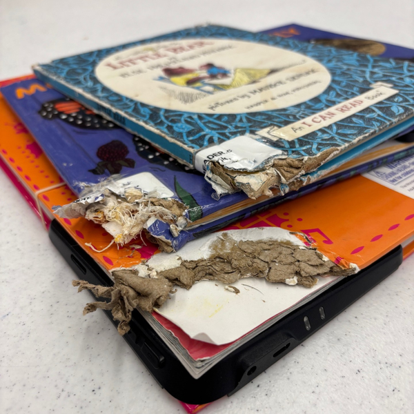 Three chewed up books are stacked on top of each other.