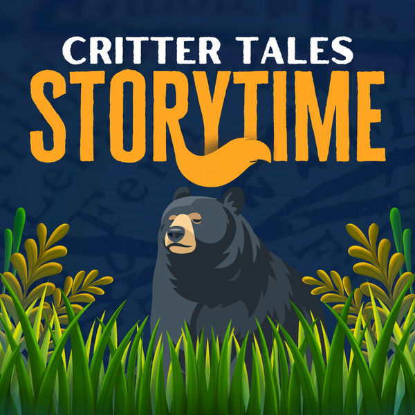 A cartoon bear is peeking out from some tall grass. "Critter Tales Storytime" is overlayed ontop.