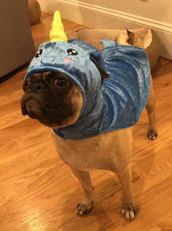 please enable images from FreePrintable.net