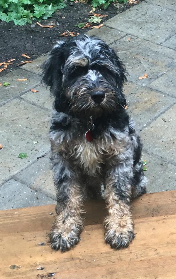 please enable images from FreePrintable.net