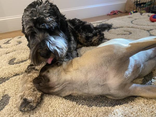 please enable images from FreePrintable.net