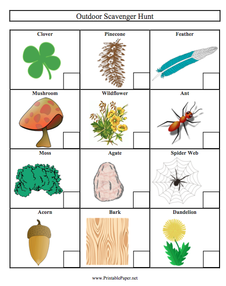 please enable images from FreePrintable.net