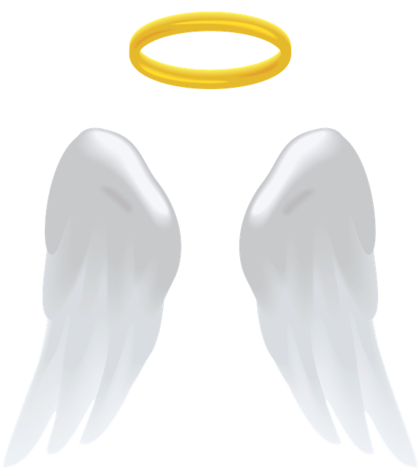 Angel_Wings_-_Hi-res_32782822_l__Clipped_rev_2.png