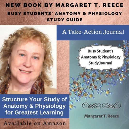 The Busy Student's Anatomy & Physiology Study Journal