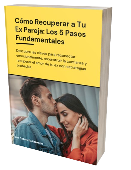 The Art of Persuasion book