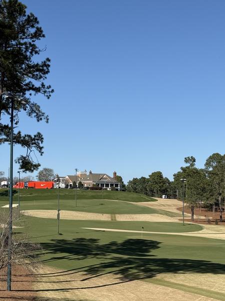 #15 from the tee at TPC Sawgrass