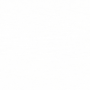 300%20pix%20softwarelabpro%20logo.gif