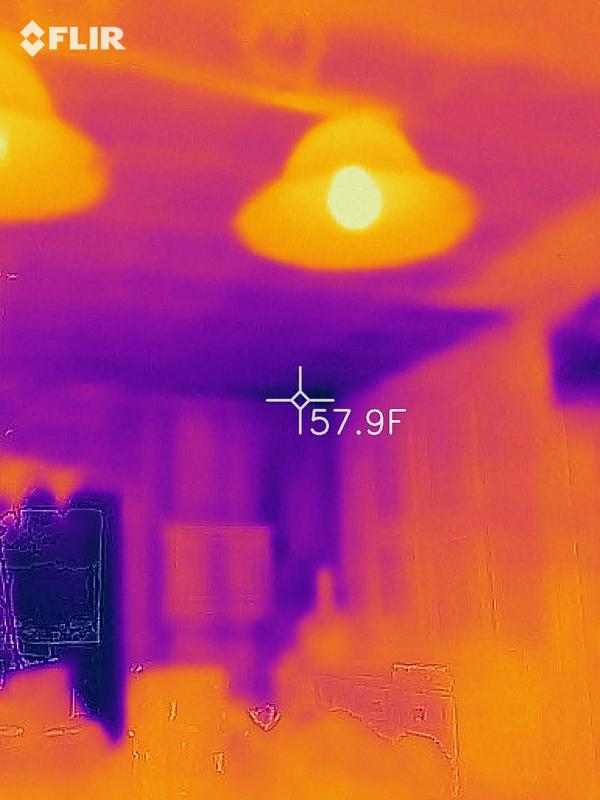 FLIR Thermal image